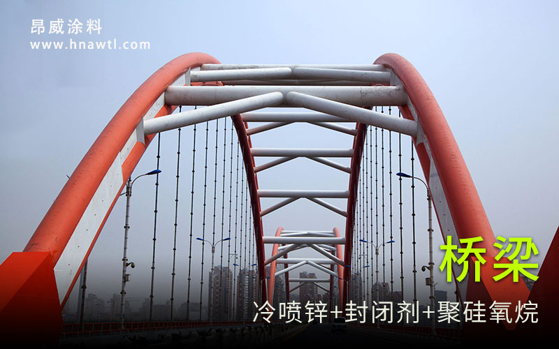 ����Ϳ��